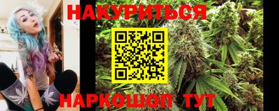 гашик Тара
