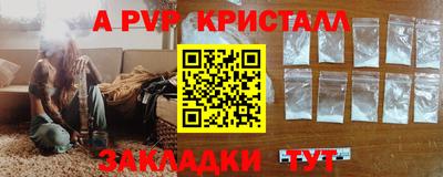 гашик Тара