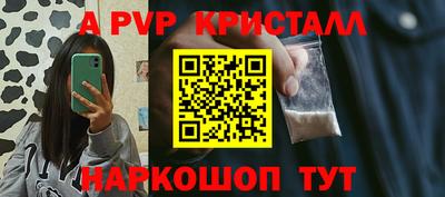 гашик Тара