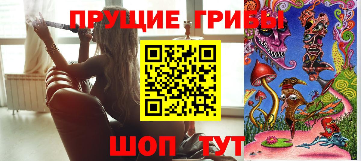 Псилоцибиновые грибы мицелий  Вход с VPN  Нефтекумск 